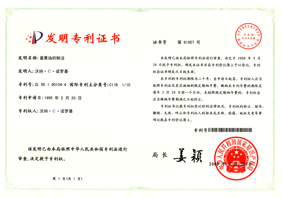 China Patent